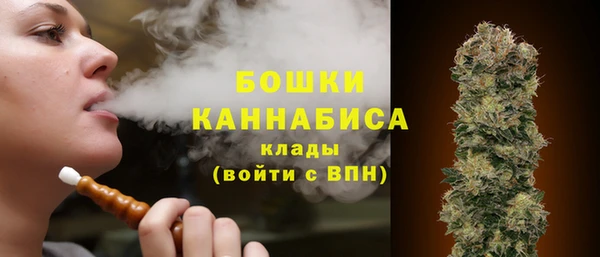 ГАЛЛЮЦИНОГЕННЫЕ ГРИБЫ Дмитровск