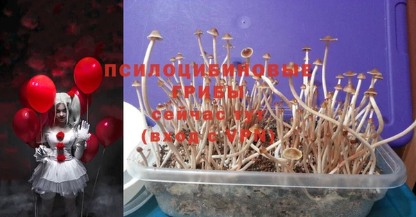 ГАЛЛЮЦИНОГЕННЫЕ ГРИБЫ Дмитровск