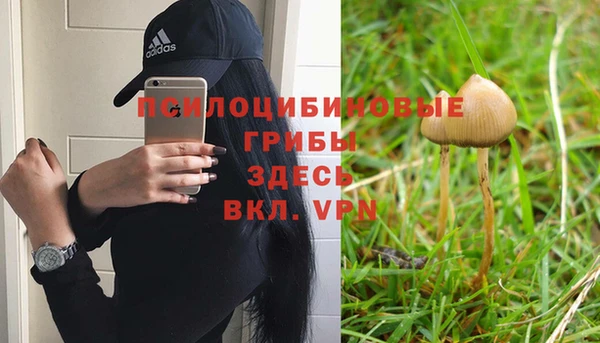 скорость mdpv Дмитриев