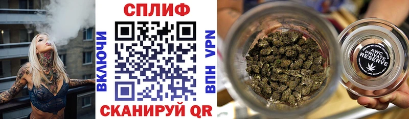купить закладку  omg вход  Каннабис семена  Новая Ладога 